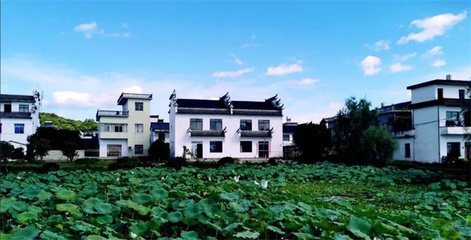 屯溪區(qū)奕棋鎮(zhèn) 聚力“三生融合”，繪就數(shù)字創(chuàng)意賦能和美鄉(xiāng)村新畫(huà)卷